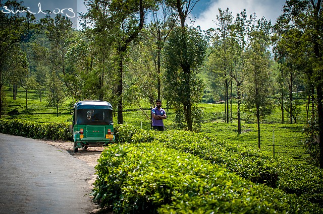 750 TukTuk Sri Lanka Auto Rickshaw, Sri Lanka Tuk-Tuk