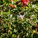 Egypt-MarsaAlam20101218-114716X.jpg