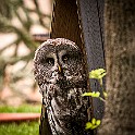 Great Grey Owl, Czech Rep. Lappuggla : Owl