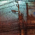 Thai-Street-Bird-Hike20211126-121223XF.jpg