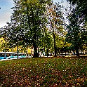 Fall-Autumn-Tram20201015-171452XF.jpg