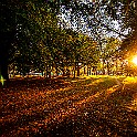 Fall-Autumn-Tram20201015-171518XEF.jpg