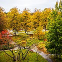 Fall-Mandol-Slottsskogen20201022-151408XCF.jpg