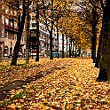 Fall-Tram-Mandol20191019-155315_9.jpg