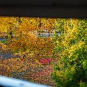 Mandol-Fall-Bench20211023-163202XF.jpg