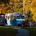 Orgryte-Orange20131018-153758XF.jpg