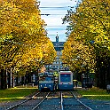 Trams-Autumn-Gbg20151028-133908X.jpg