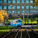 Trams-Autumn-Gbg20151028-134703X.jpg