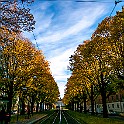 Trams-Autumn-Gbg20151028-134728X.jpg