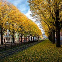 Trams-Autumn-Gbg20151028-134802X.jpg