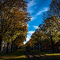 Trams-Autumn-Gbg20151028-135153X.jpg