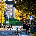 Sweden, Gothenburg Flatås