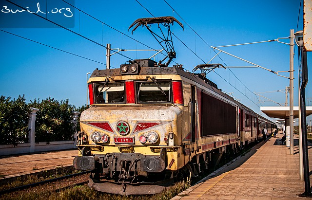 300 Train Morocco