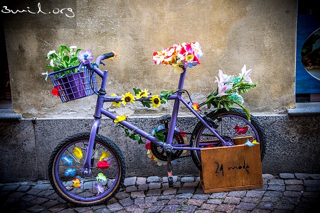 800 Bike Italy
