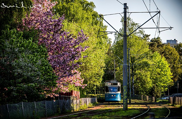 400 Tram Sweden ASEA M31, Gothenburg, Sweden Högsbo