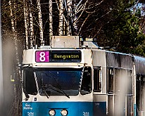 Bird-Larjedalen-Tram20200321-144007XF.jpg