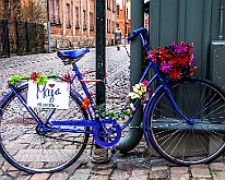 Haga, Gothenburg, Sweden : Bike Art