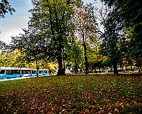 Fall-Autumn-Tram20201015-171452XF.jpg