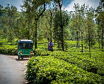 Auto Rickshaw, Sri Lanka Tuk-Tuk : Droska Tuk-Tuk