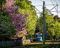 ASEA M31, Gothenburg, Sweden Högsbo : Tram Sweden Gbg