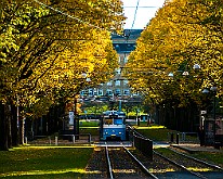 Trams-Autumn-Gbg20151028-133845X.jpg