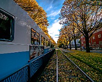 Trams-Autumn-Gbg20151028-134358X.jpg
