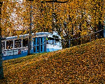 Trams-Autumn-Gbg20151028-153158X.jpg