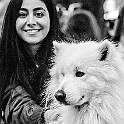 Gothenurg, Sweden Niloo with Samoyed dog