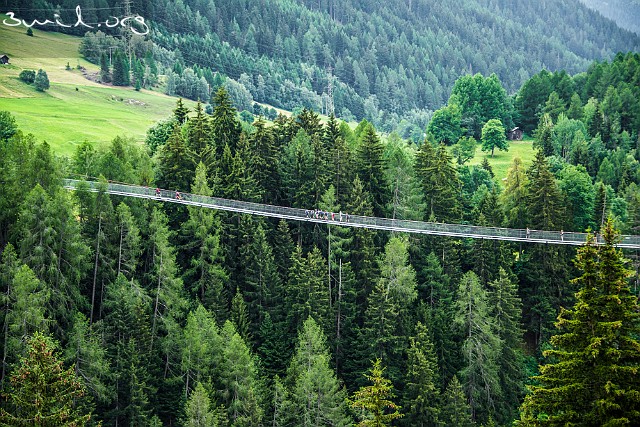 Suisse Switzerland Suspension bridge trail, Fiesch to Ernen Switzerland, Schweiz, Suisse