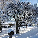 Snow-Fridhem-Utb20110113-122440L.jpg