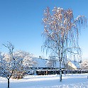 Snow-Fridhem-Utb20110113-140348L.jpg