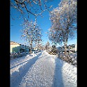 Snow-Fridhem-Utb20110113-140924LC.jpg