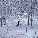 Snow2-Mandolin20160119-102359XF.jpg